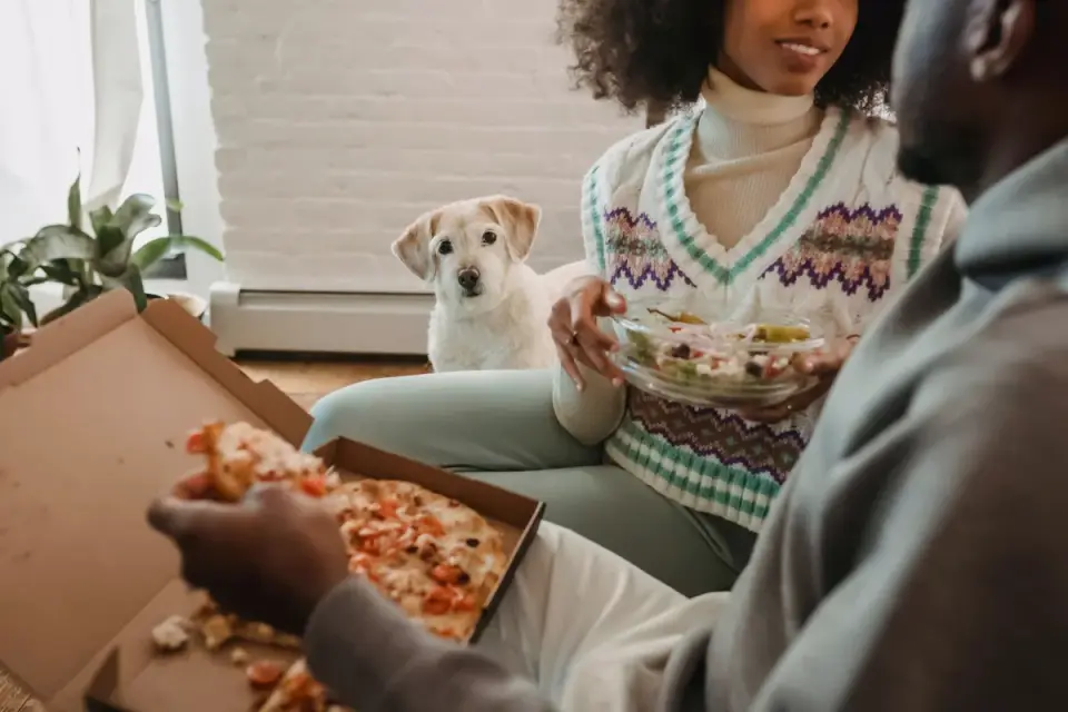 Dog eating from a bowl