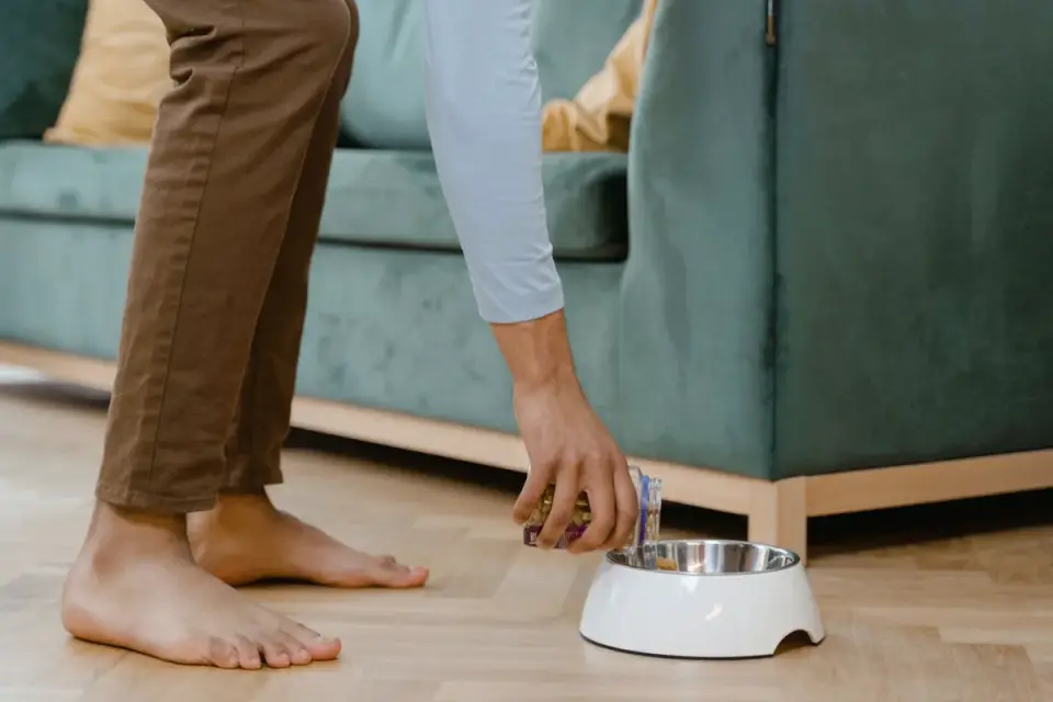 Dog eating from a bowl