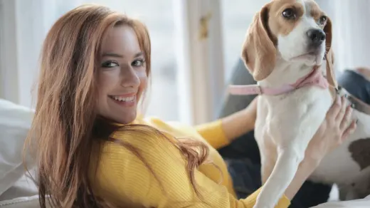 Dog with an owner