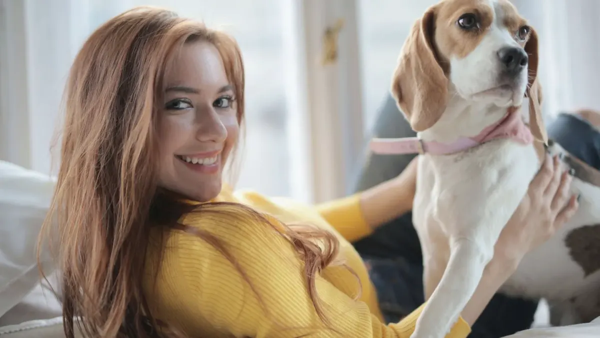 Dog with an owner