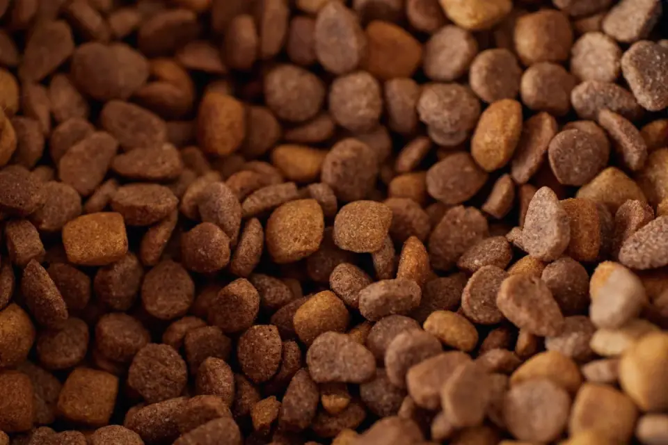 Kibble scattered across the floor around a dog&#x27;s food bowl
