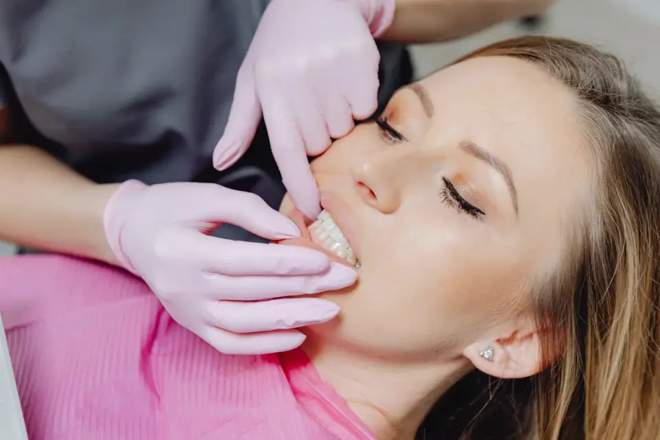 Veterinarian lifting a dog's lip to check gum color during an exam